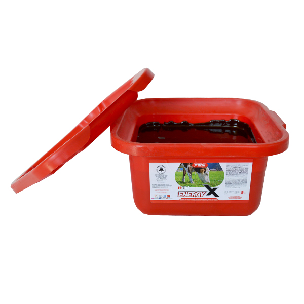 Galeata cu minerale, vitamine si melasa (80%) - EnergyX - RV105-5 - imagine 3