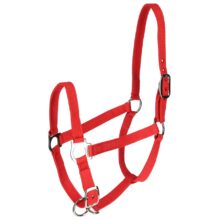 Capastru pentru bovine - 12613
